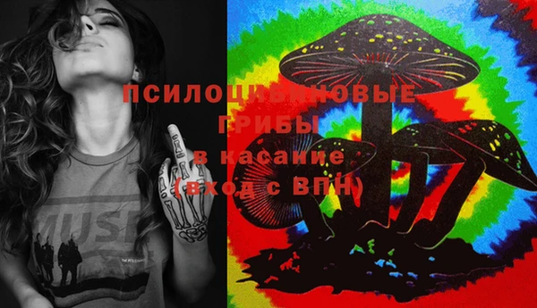 соль ск Горнозаводск
