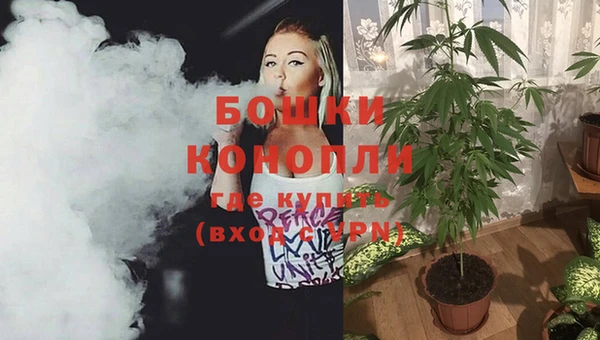 соль ск Горнозаводск