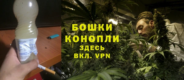 соль ск Горнозаводск
