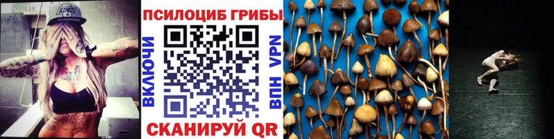 Купить  Саранск  Галлюциногенные грибы MAGIC MUSHROOMS 